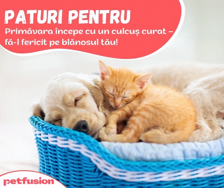 pet bed, dog bed, cat bed, pet basket, pet cushion, animal bedding, pet furniture, brand awareness, lifestyle, warm, calm, red, blue, neutral